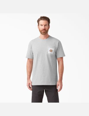Dickies 100 Year Anniversary T-shirts Grau | 702HEZOTV