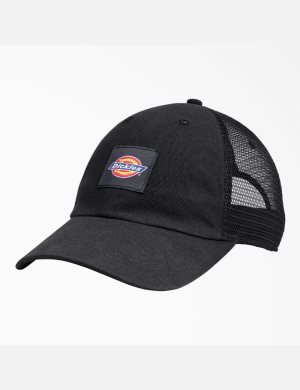 Dickies Canvas Trucker Hüte Schwarz | 063GLRWHD