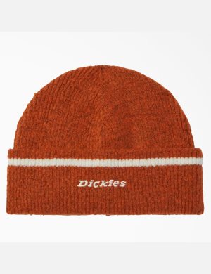 Dickies Chalkville Hüte Braun | 715IRSLEW