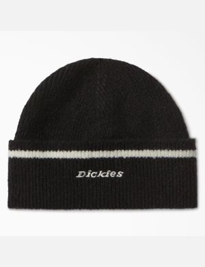 Dickies Chalkville Hüte Schwarz | 463LCDFXE