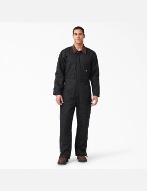 Dickies Duck Insulated Overalls Schwarz | 673YAFEUG