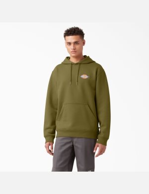 Dickies Fleece Embroidered Chest Logo Hoodie Grün | 516ESRFYW